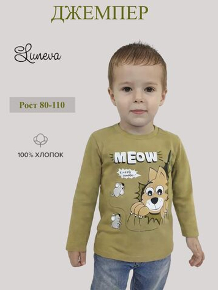 4-120-7 Джемпер для мальчика