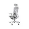 GTChair Dvary X grey