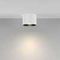 Потолочный светильник Maytoni Technical Ceiling Calipso C106CL-GX53-W