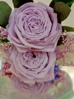 натуральные цветы в стекле, вакуум