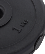 Диск пластиковый BB-203 d=26 мм, черный, 1 кг