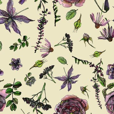 Садовая роза