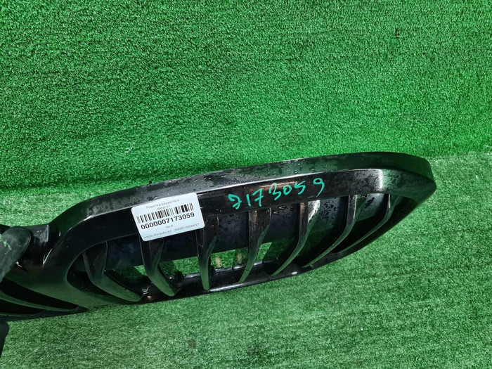 Решетка радиатора BMW X7 G07 (2019-2022)