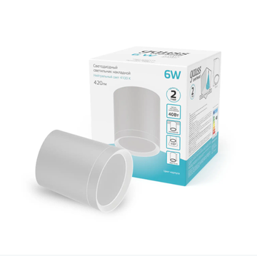 Накладной светильник LED Gauss с рассеивателем 6W белый 4100K HD022