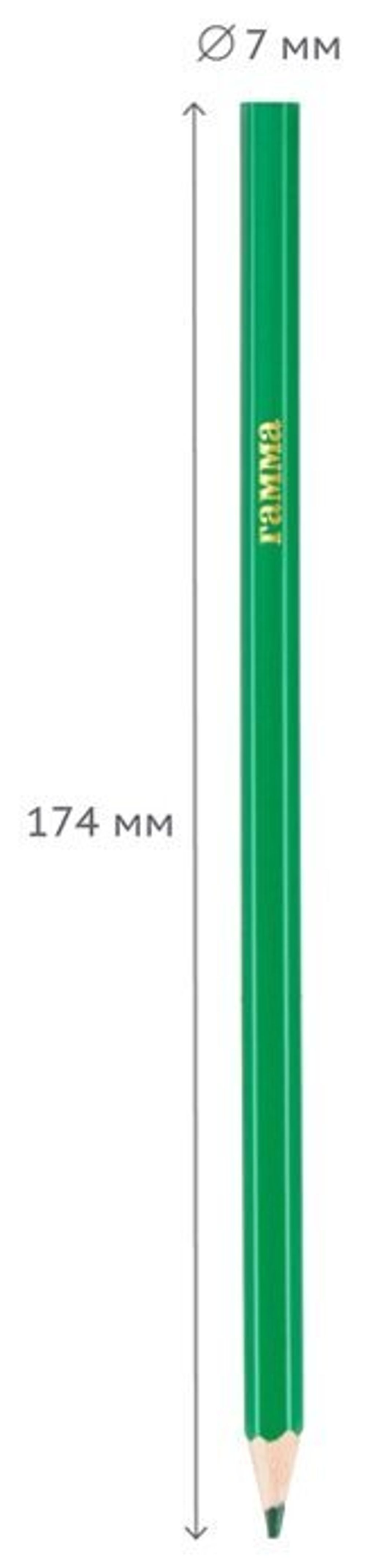 Карандаши цветные ГАММА "Классические", 6 цветов, заточенные, шестигранные, картонная упаковка, 05091801, 050918_01
