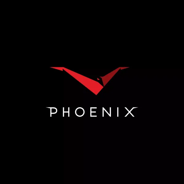 Тактическое снаряжение RME Phoenix