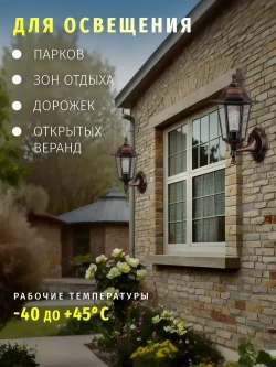 Светильник уличный настенный Navigator 80 495, 6 граней, цоколь E27, IP44, черный под медь