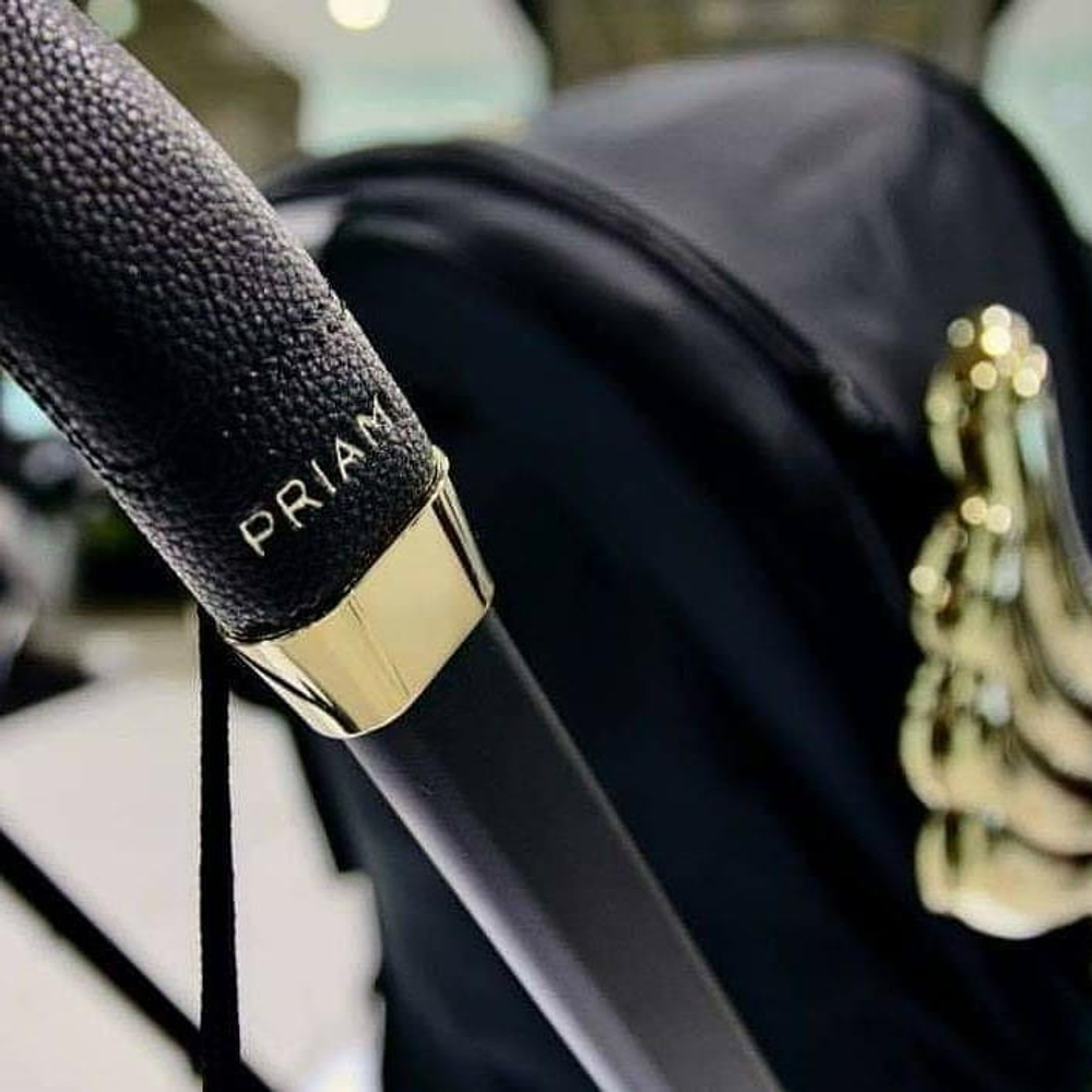 Коляска 3 в 1 Cybex Priam IV и автокресло Cloud T i-Size Jeremy Scott Wings