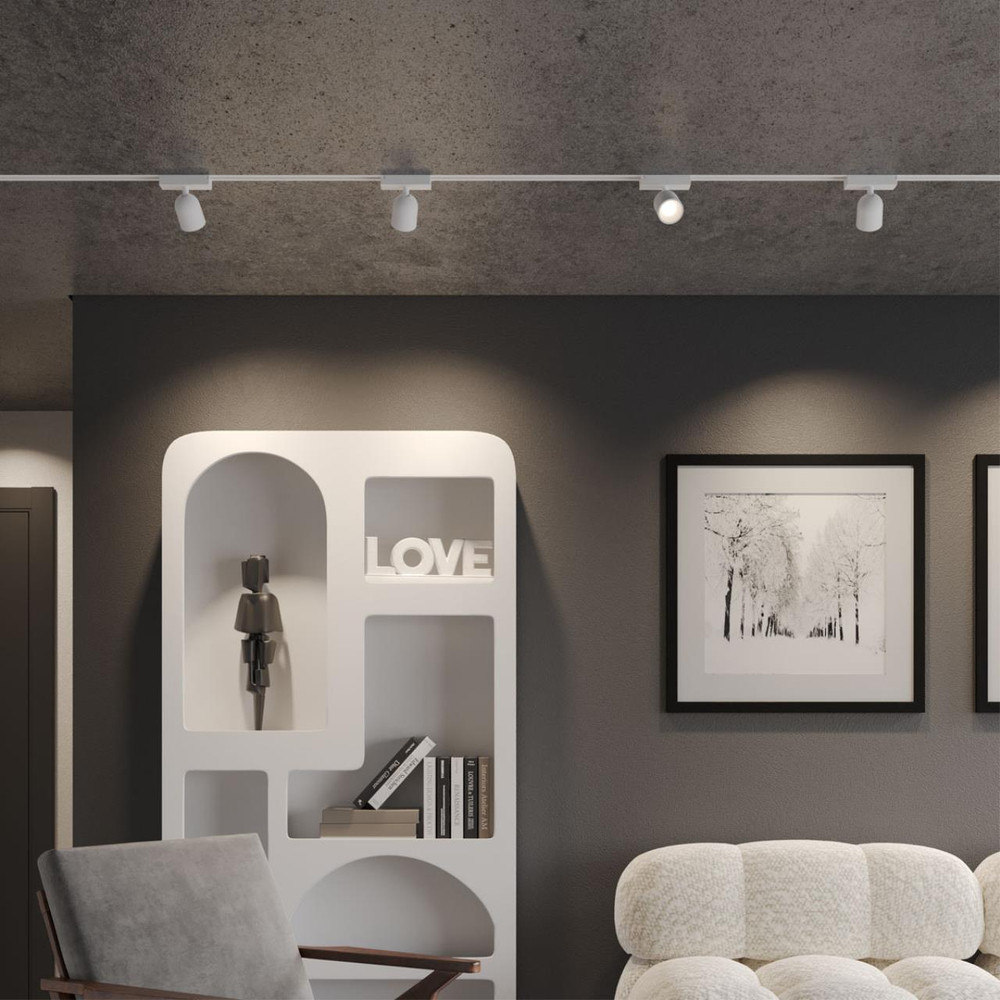 359806 NT Светильник трековый однофазный двухжильный LED 10Вт 4000К 180-265В IP20 PORT