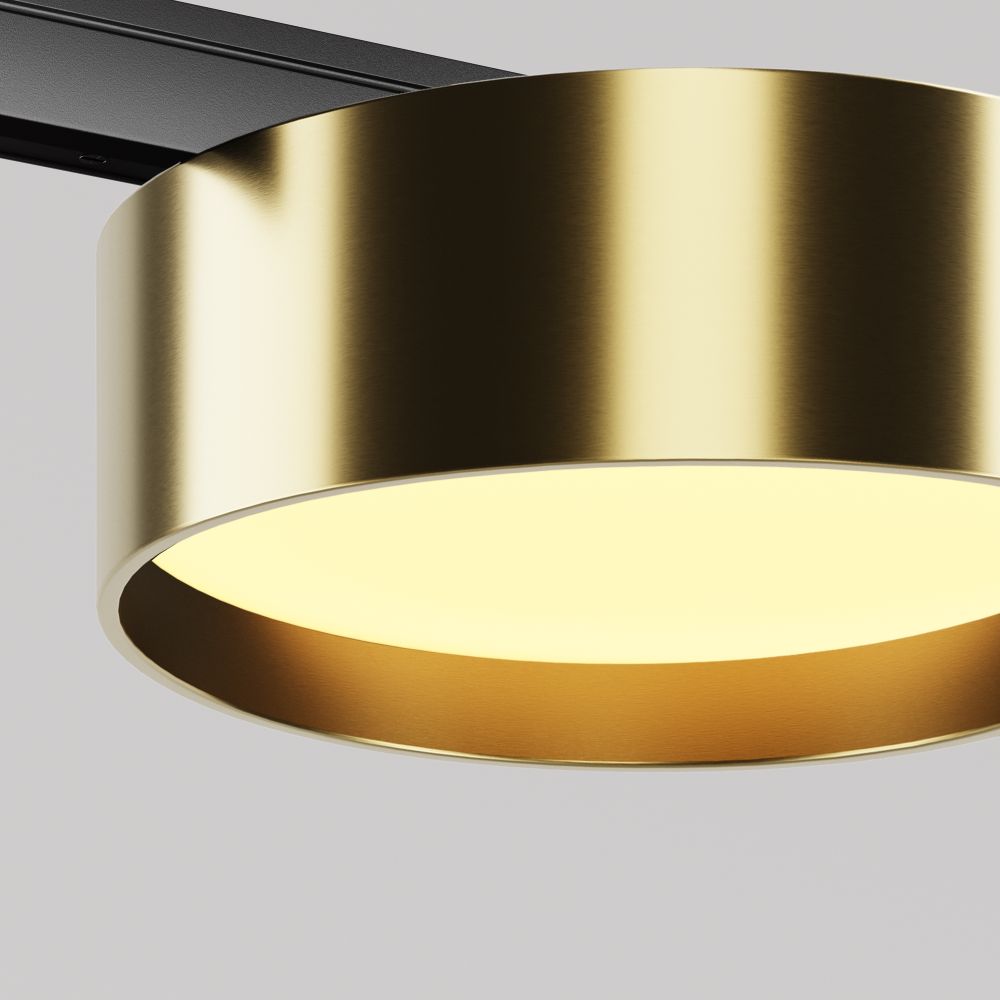 Трековый магнитный светодиодный светильник Maytoni Levity   TR189-1-12W2.7K-BBS