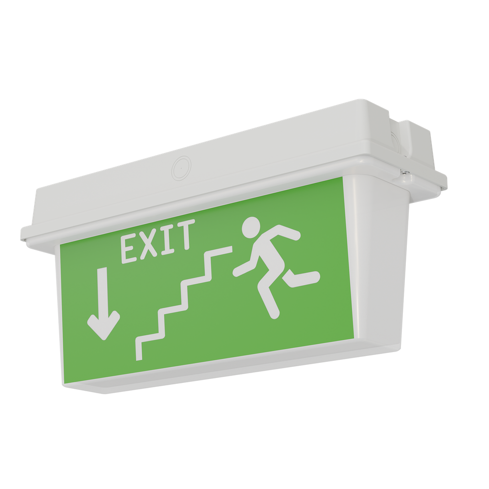 Светильник аварийный ДПО78-3-113 Neptun PT LED АСТЗ (Ардатов)