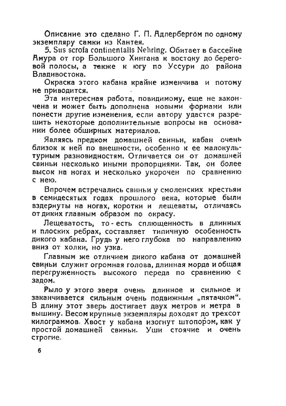 Охота на кабанов | В.Н. Каверзнев