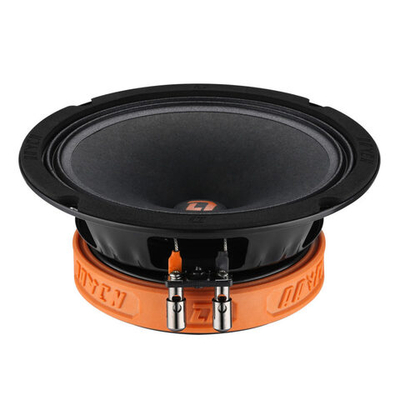 DL Audio Raven 165 V.2 | Эстрадная акустика 16 см. (6.5")