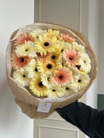Букет из гербер в кремовом оттенке 25 шт