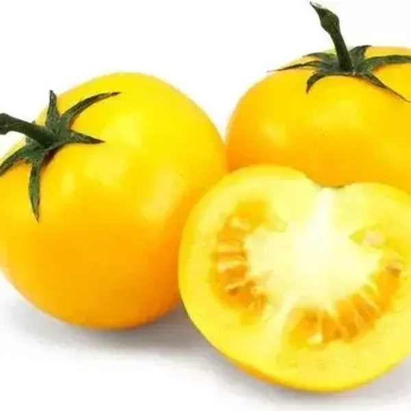 Способы посева томатов