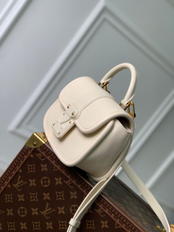 Louis Vuitton Hide & Seek Bag