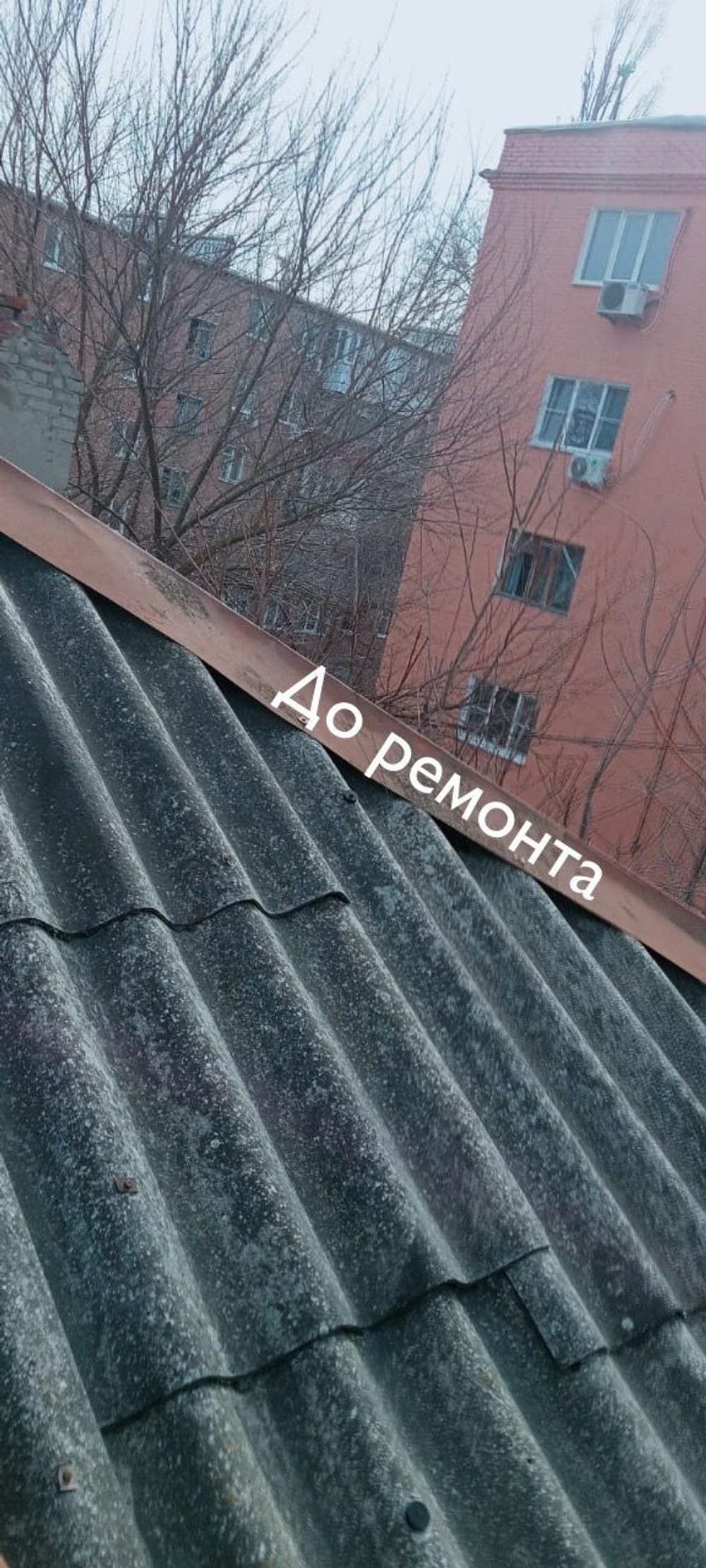 Ростовская обл., г. Ростов-на-Дону, ул. Каяни, д. 17/2