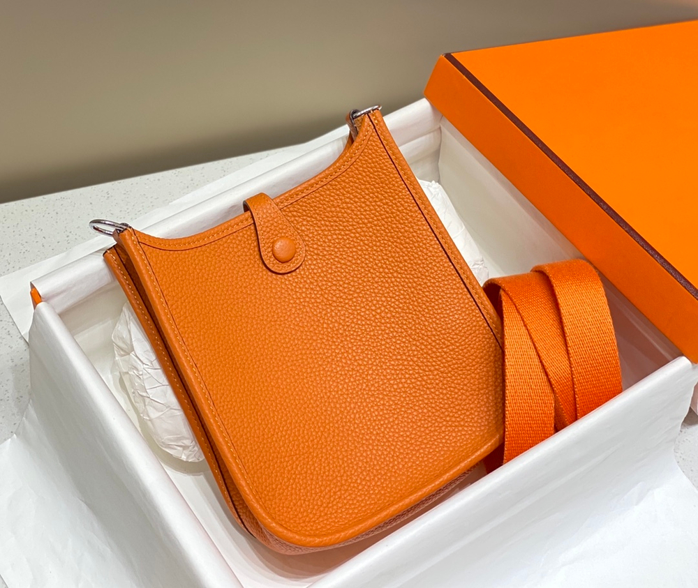 Hermes Evelyne Mini