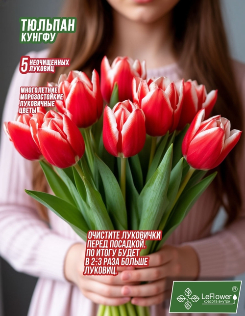 Тюльпан Луковица, Кунг Фу 5 шт