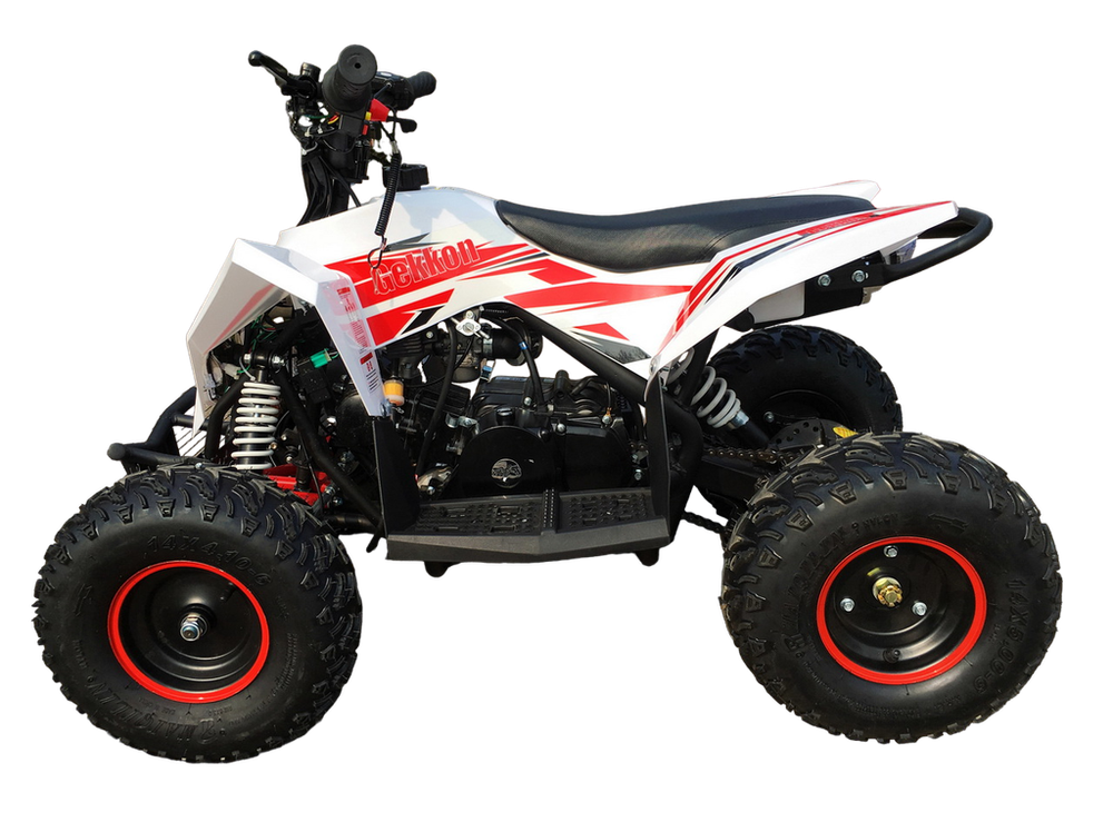 Квадроцикл Motax Gekkon 90cc