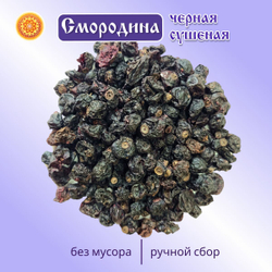 Чёрная Смородина Алтайская.