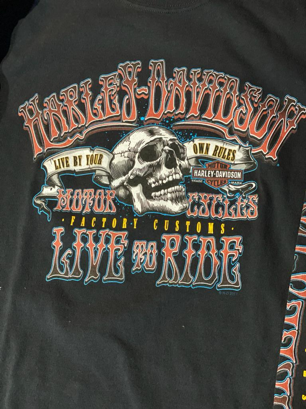 Футболка с длинным рукавом Harley-Davidson Krasnoyarsk