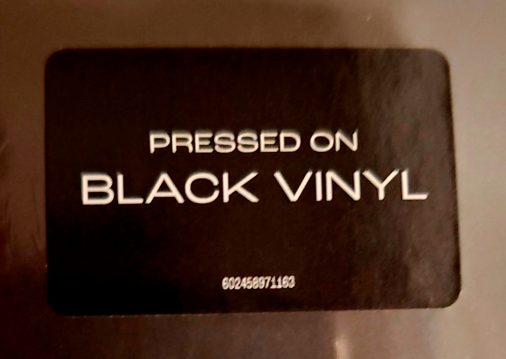 Pearl Jam / Dark Matter (LP)