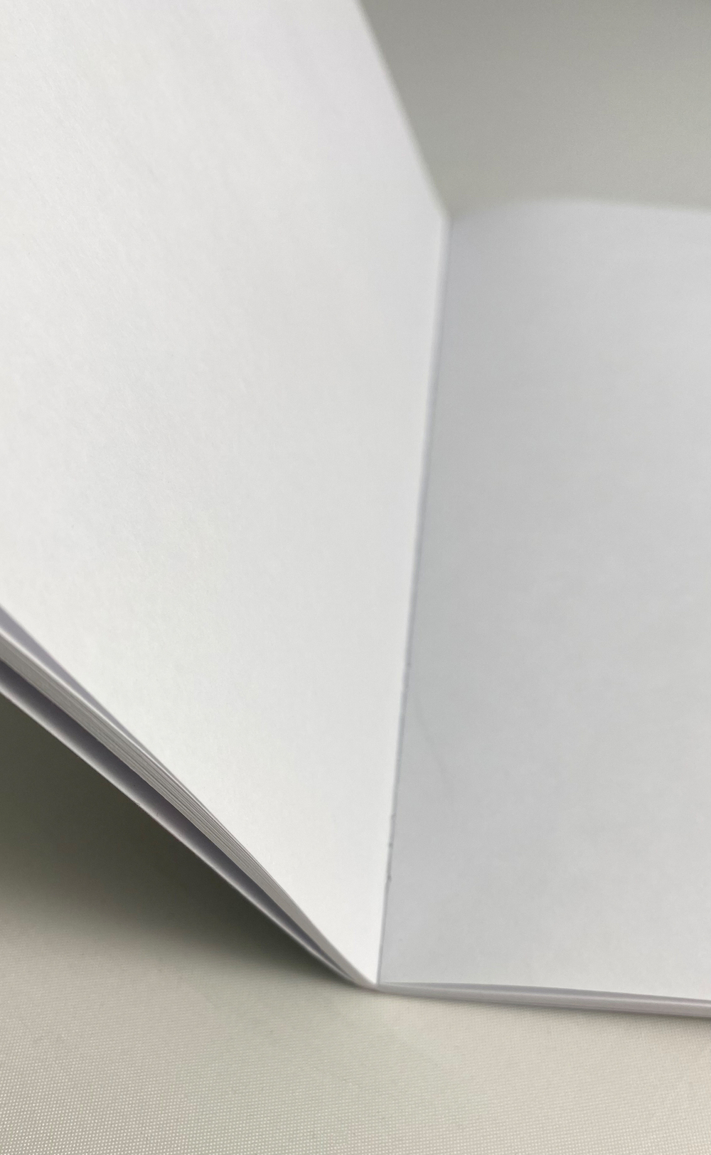 Блокнот лайт  (Регина Серажитдинова)