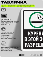 Табличка для частной территории "Курение в этой зоне разрешено", на дом, для участка, для подъезда, организаций и частных территорий, предупреждающая, 40х30 см, Silver Plane x Айдентика Технолоджи