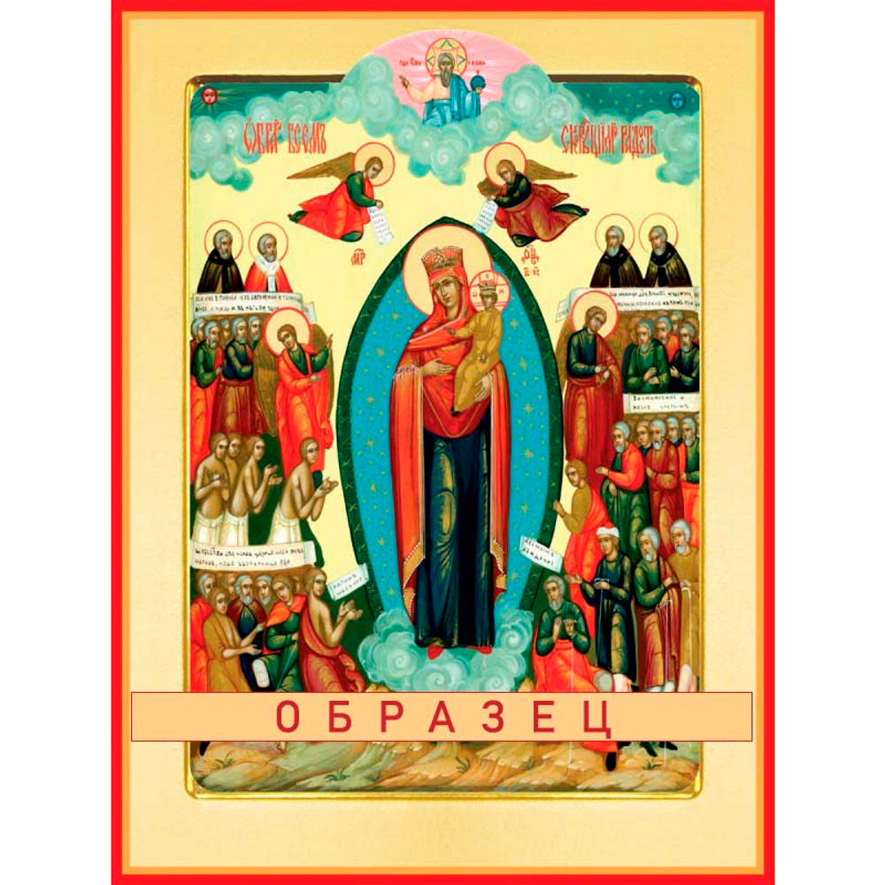 Всех скорбящих радосте икона Божией Матери БМ-53 (бм/В/7/1)