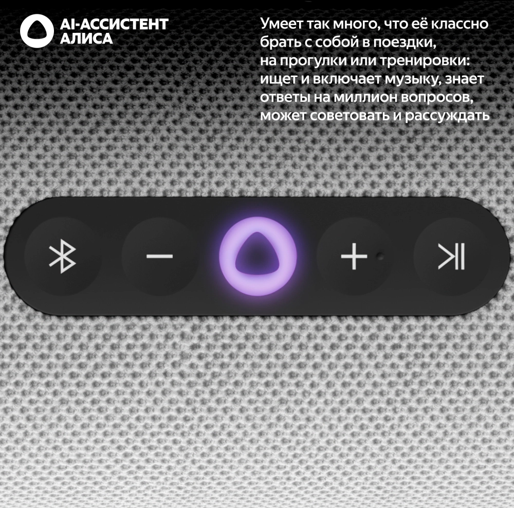 Умная колонка Yandex Стрит Алиса серый 30W 2.0 BT/Wi-Fi 10м 3300mAh (YNDX-00030GRY)