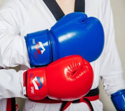 Перчатки боксерские ProfSport