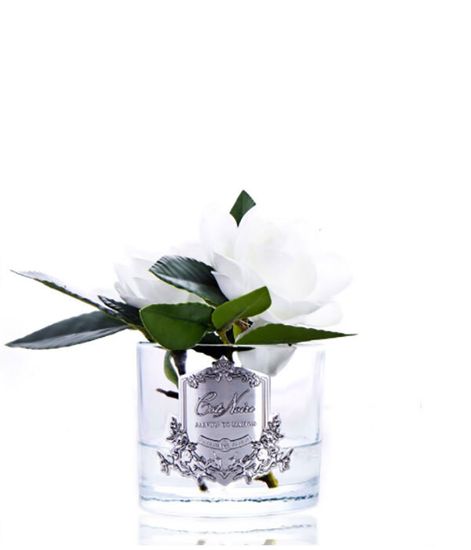 Цветы гардении ароматизированные в прозрачной вазе, Cote Noire