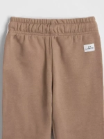 Штаны для мальчика спортивные с лампасами