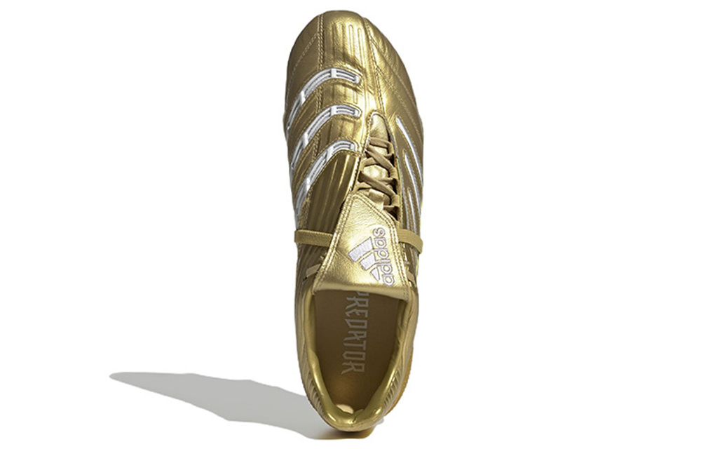 Кроссовки Adidas Predator Absolute Fg