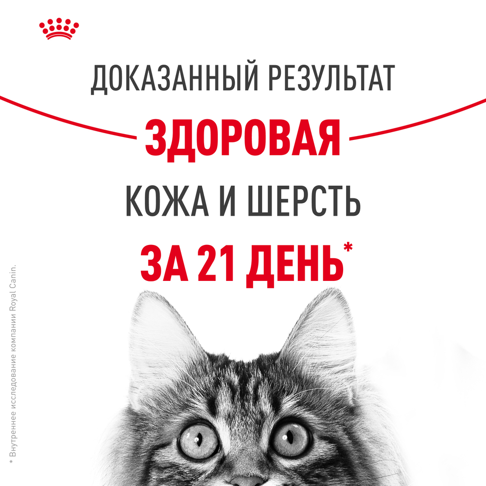 Royal Canin Hair&Skin Care Корм сухой для взрослых кошек для поддержания здоровья кожи и шерсти - 2 кг