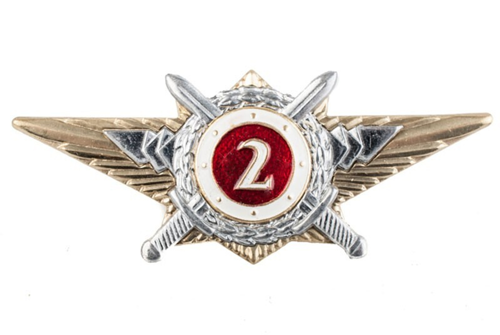 Значок Классность Росгвардии 2 класс