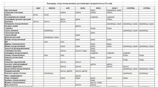 Сбор и заготовка лекарственных трав в июне: кладовая здоровья под рукой Сбор и заготовка лекарственных трав в июне: кладовая здоровья под рукой