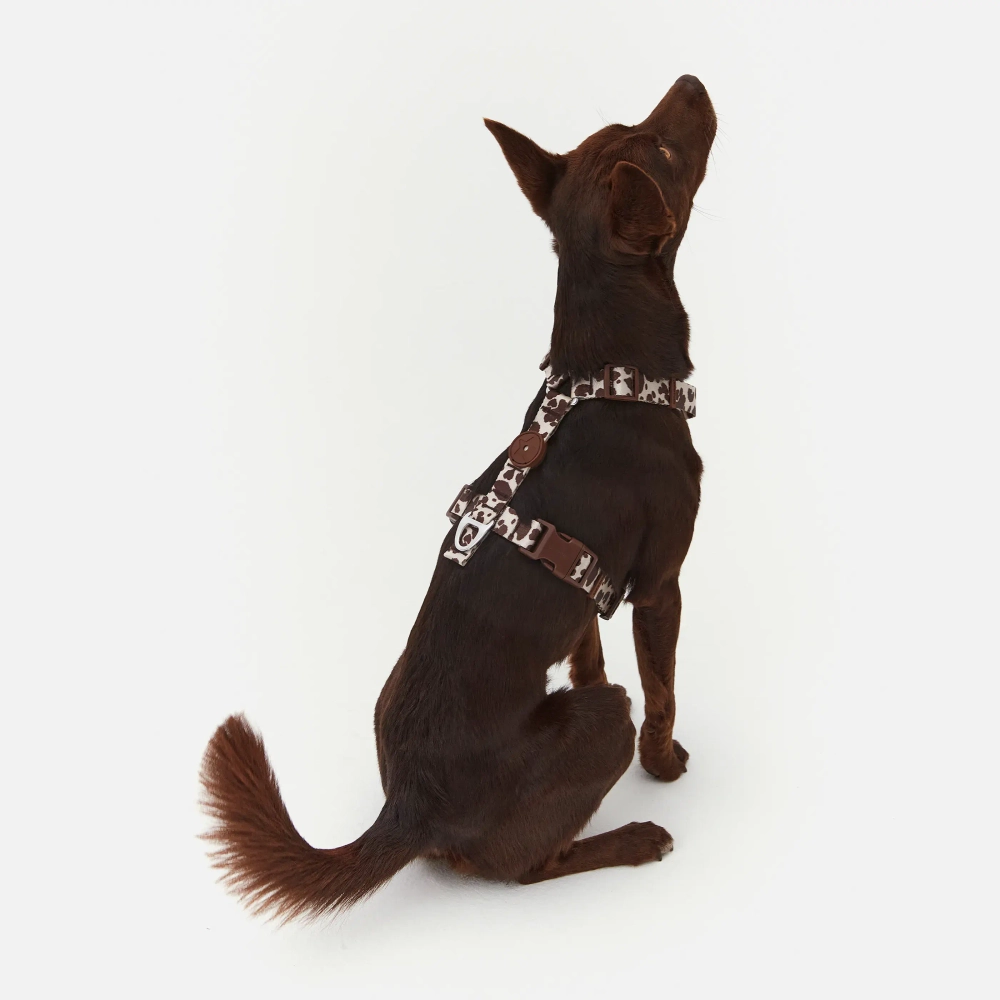 Анатомическая шлейка Cow