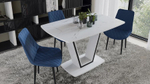Стол обеденный Дели Тип 1 Белый глянец/Стекло матовое белый мрамор