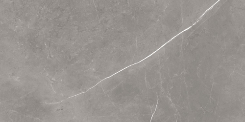 Плитка Ф.Д.М. Элегант Грей Чер (Пат) 60х120 Рет (1,44 кв.м.) PS-00041342