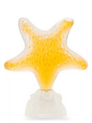 Seajewels Star Sensual Amber