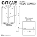 Citilux FORTS CLU09W1 Уличный настенный светильник