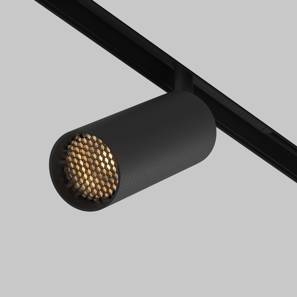 Магнитный трековый светильник Maytoni Artisan TR097-2-12W2.7K-M-BB