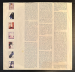 Scritti Politti - Provision (Англия 1988г.)