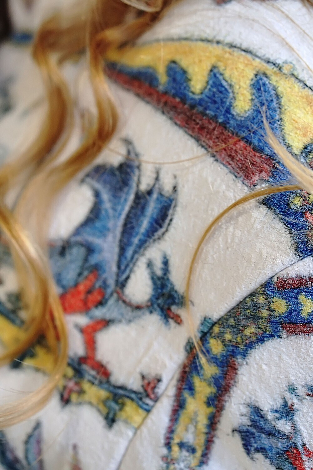 Полупальто "Лабиринт", по мотивам средневековых буквиц и фантастических существ со страниц Псалтыри Латтрелла