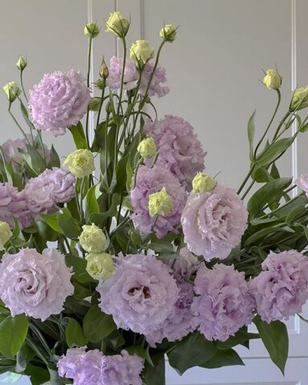 Эустома Квартет