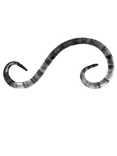 Кованый элемент вензель S (115 х 265) мм, р-р материала КВ 10, вес 0,41 кг.