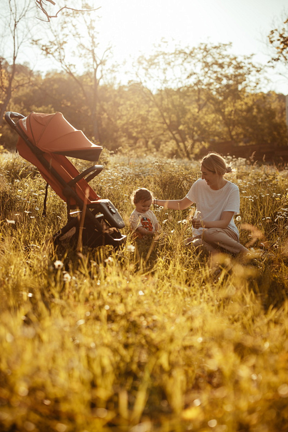 Детская прогулочная коляска Anex AIR-X Ax-01 terracotta