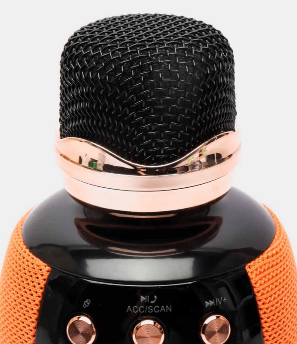 Беспроводная колонка-микрофон Wireless WS-2911 модуляция